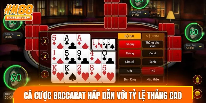 Cá cược Baccarat cực hấp dẫn với tỷ lệ thắng cao