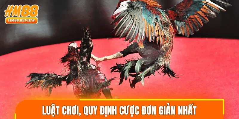 Luật chơi, quy định cược đơn giản nhất