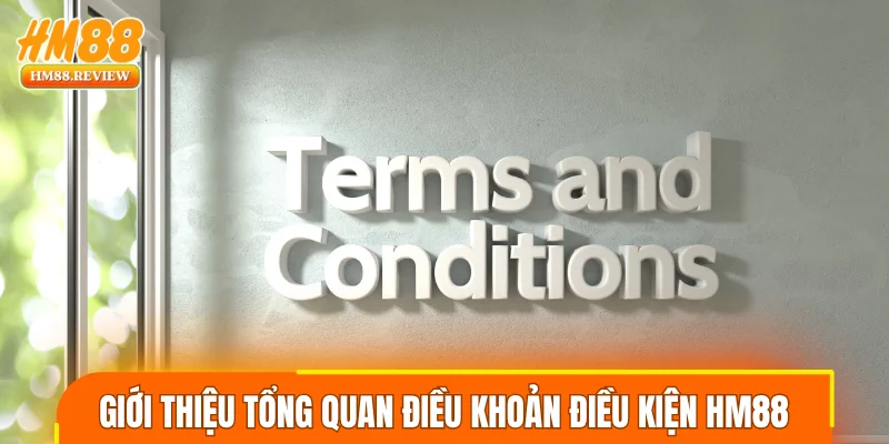 Giới thiệu tổng quan điều khoản điều kiện HM88