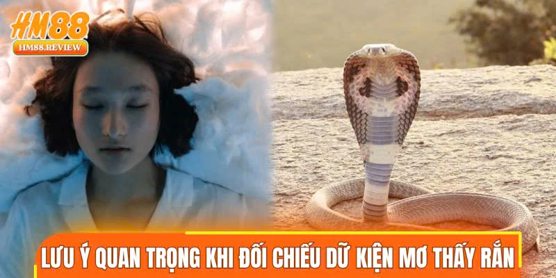 Lưu ý quan trọng khi đối chiếu dữ kiện mơ thấy rắn