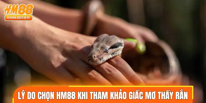 Lý do chọn HM88 khi tham khảo giấc mơ thấy rắn