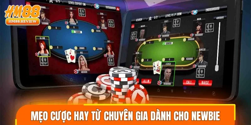 Mẹo cược hay từ chuyên gia dành cho newbie