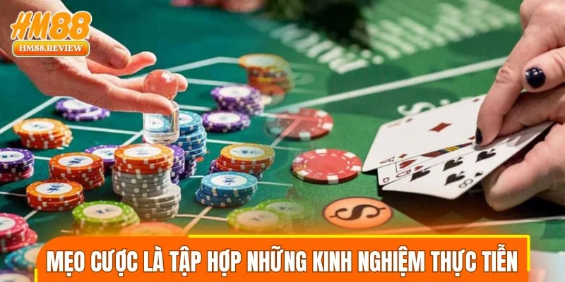 Mẹo cược là tập hợp những kinh nghiệm thực tiễn