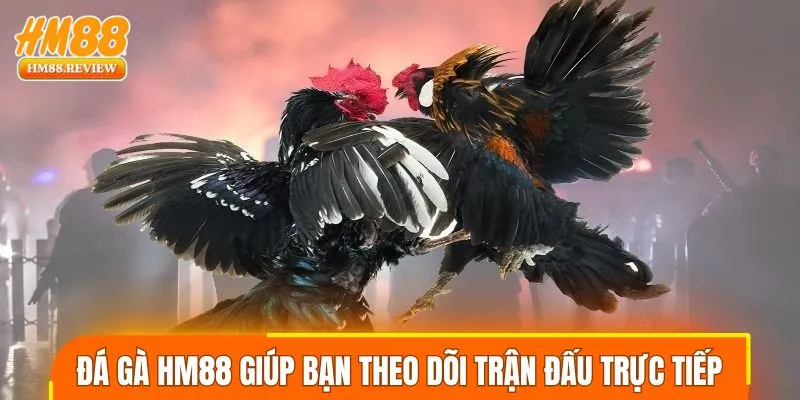 Tham gia bắn cá HM88 nhận thưởng ổn định