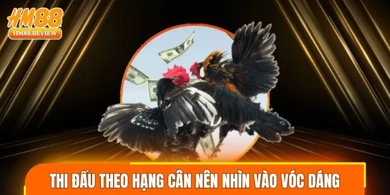 Tựa game săn cá miễn phí nhưng phần thưởng cao